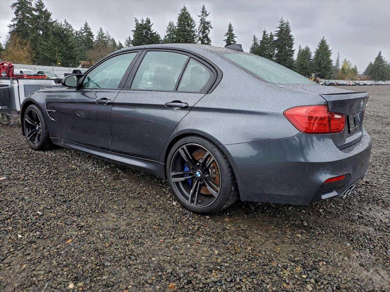 2015 BMW M3 — VIN WBS3C9C59FP806119 — photo 2