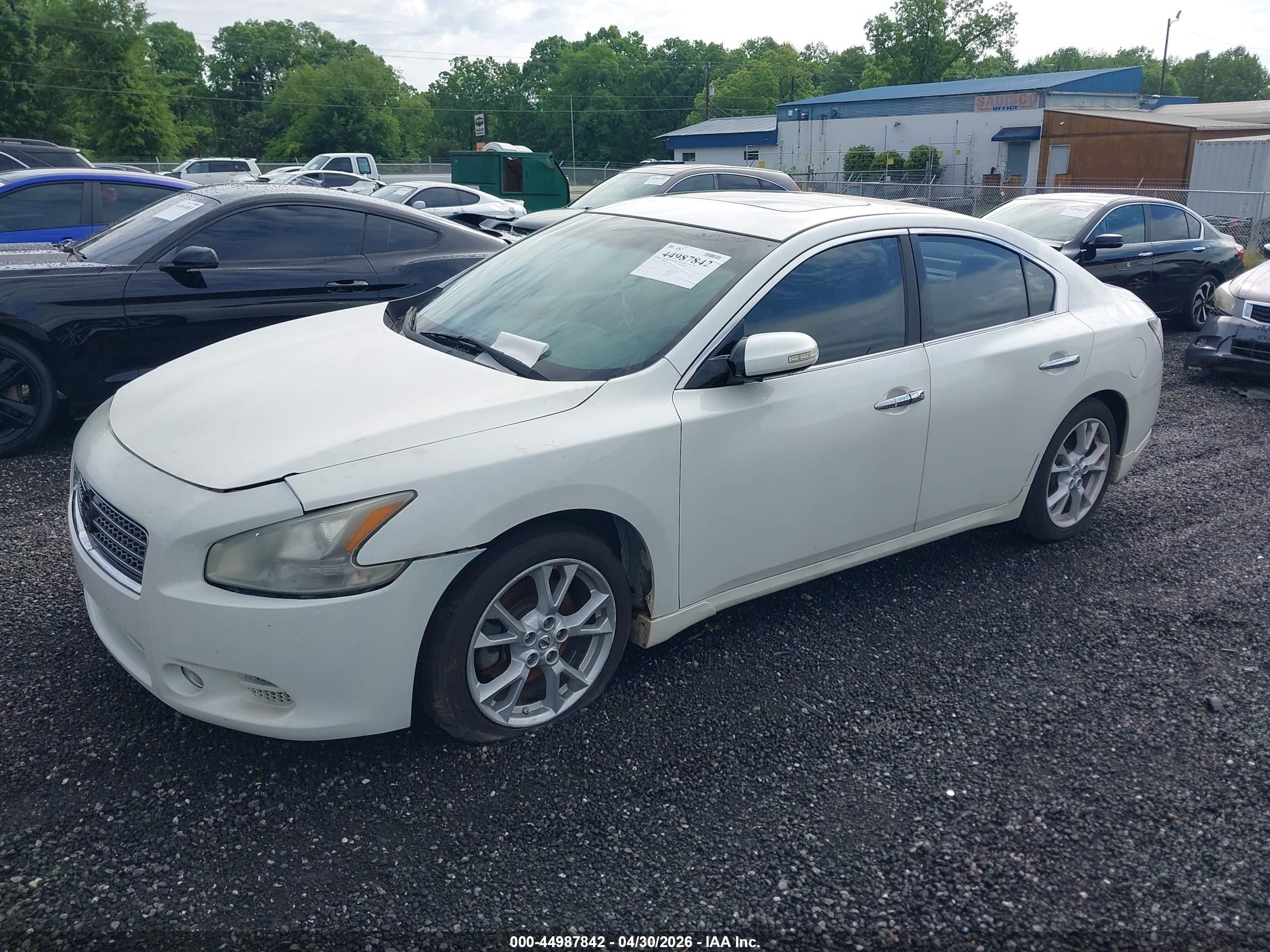 2013 NISSAN Maxima — VIN 1N4AA5AP0DC839814 — photo 2