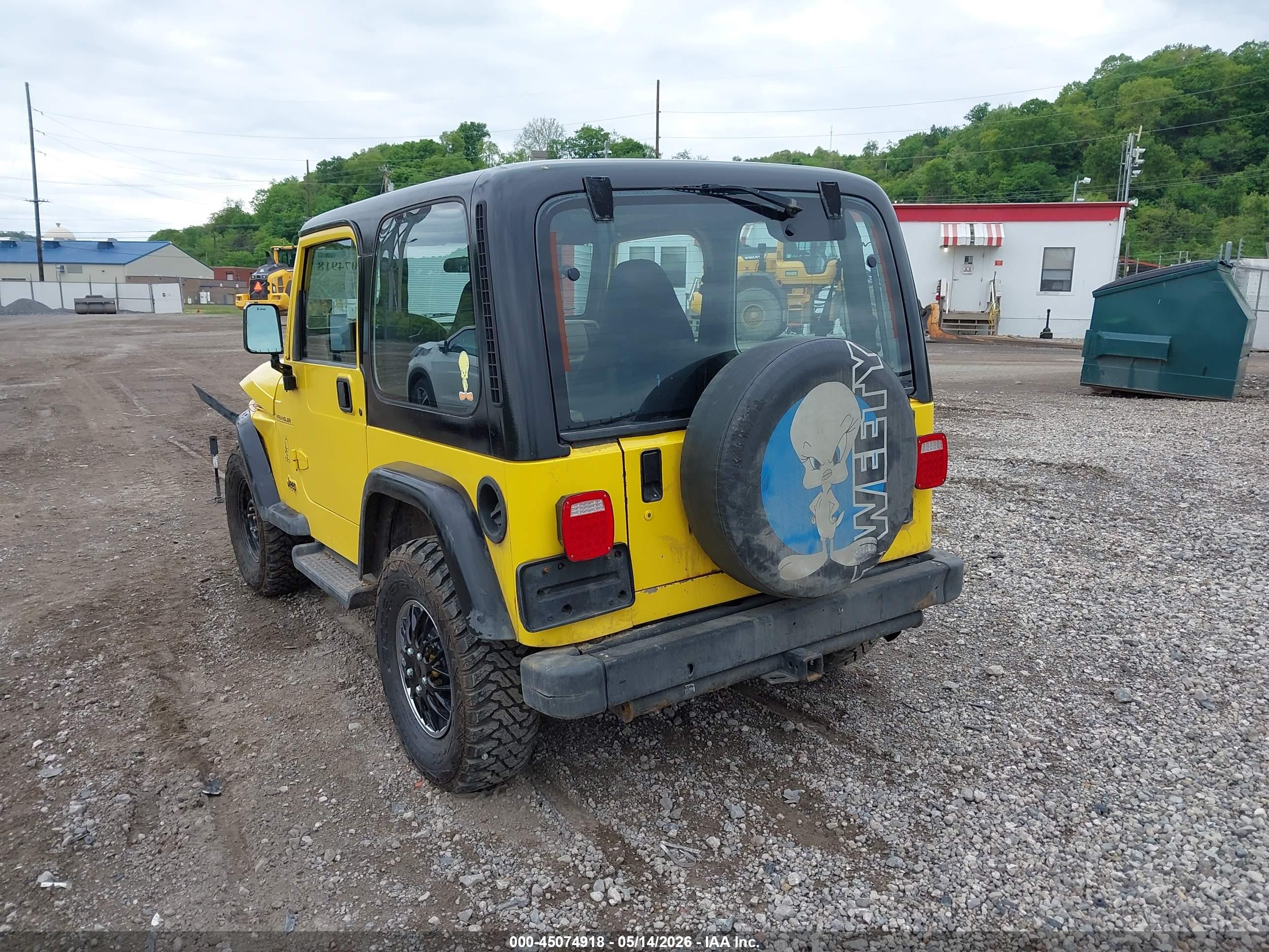 2001 JEEP Wrangler — VIN 1J4FA29P81P343029 — photo 3